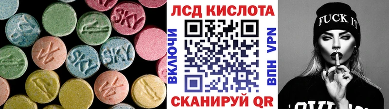 Купить закладки  Электрогорск  ЛСД экстази ecstasy 